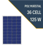 Lexron 125W Polykristal Güneş Paneli