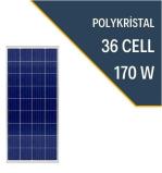 Lexron 170W Polykristal Güneş Paneli
